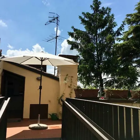 Gelsomino Giallo Verona